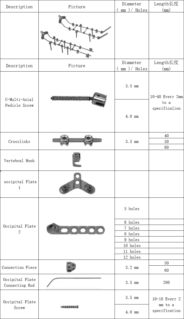 Posterior Cervical Fixation System 6