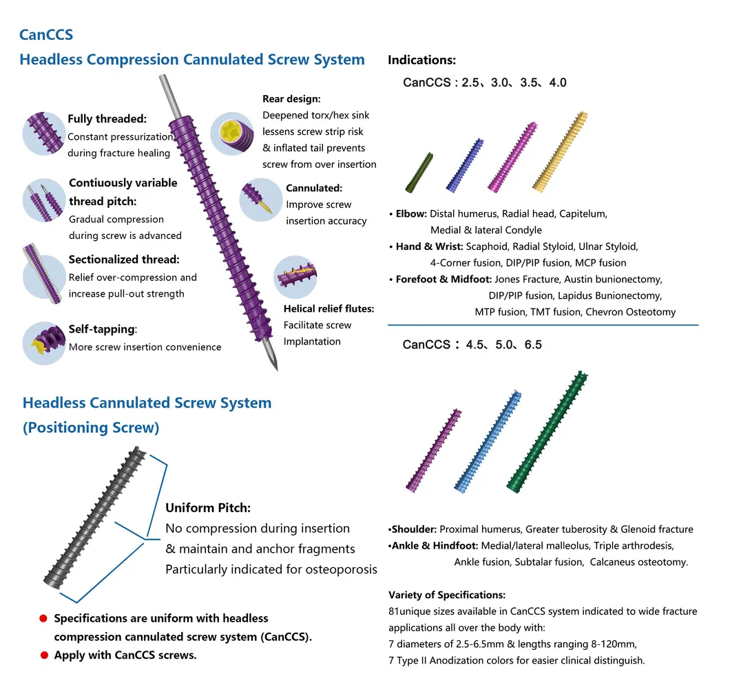Orthopedic Locking Screw Implant