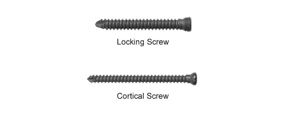 Screws
