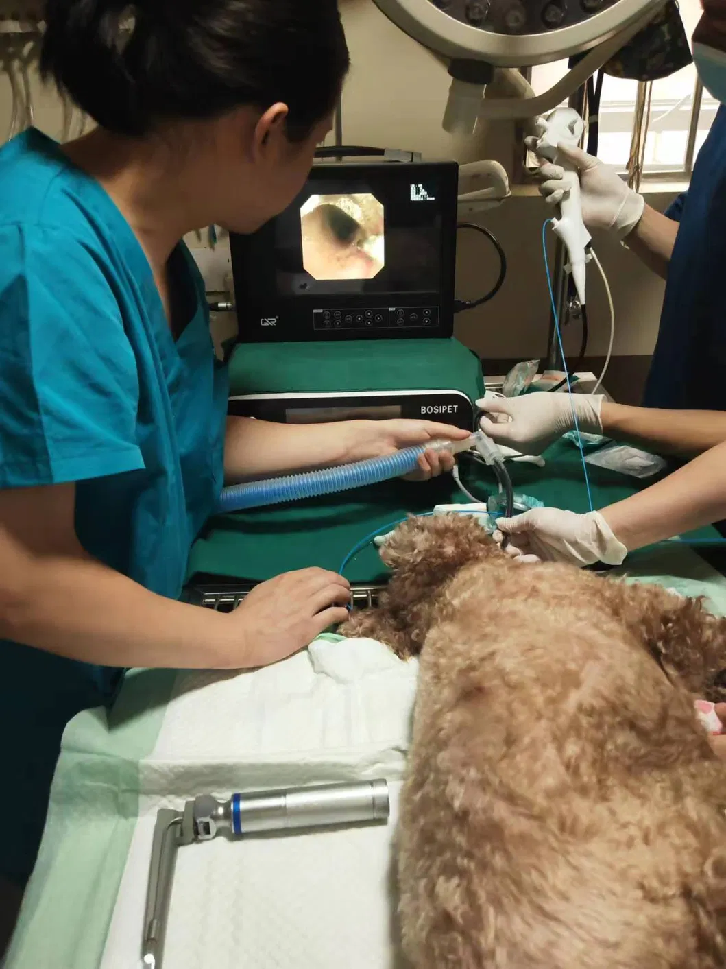 Operation Shooting 2