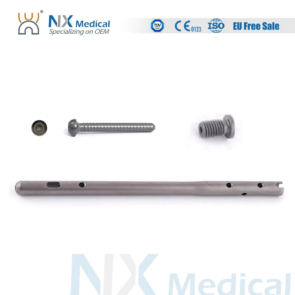 Orthopedic Implant Ankle Fusion Nail Interlocking Intramedullary Nail