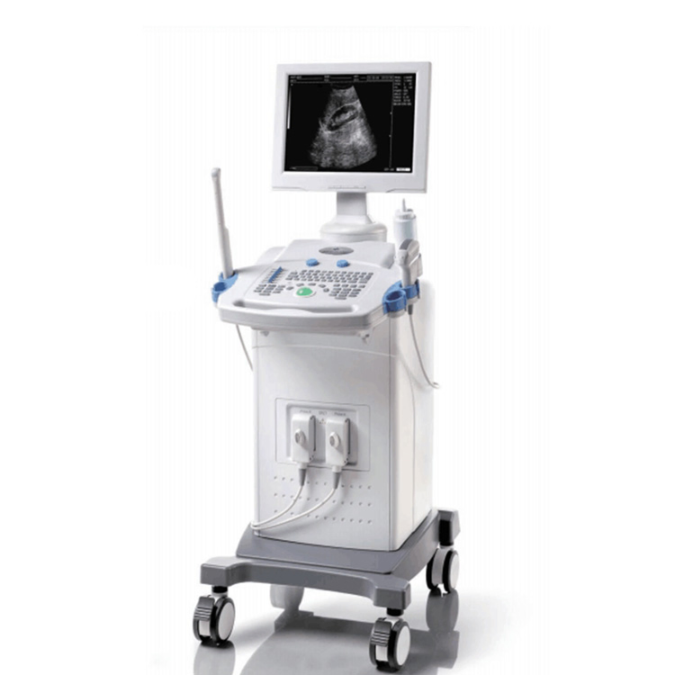 3D 4d Color Doppler B Ultrasound Diagnosis System