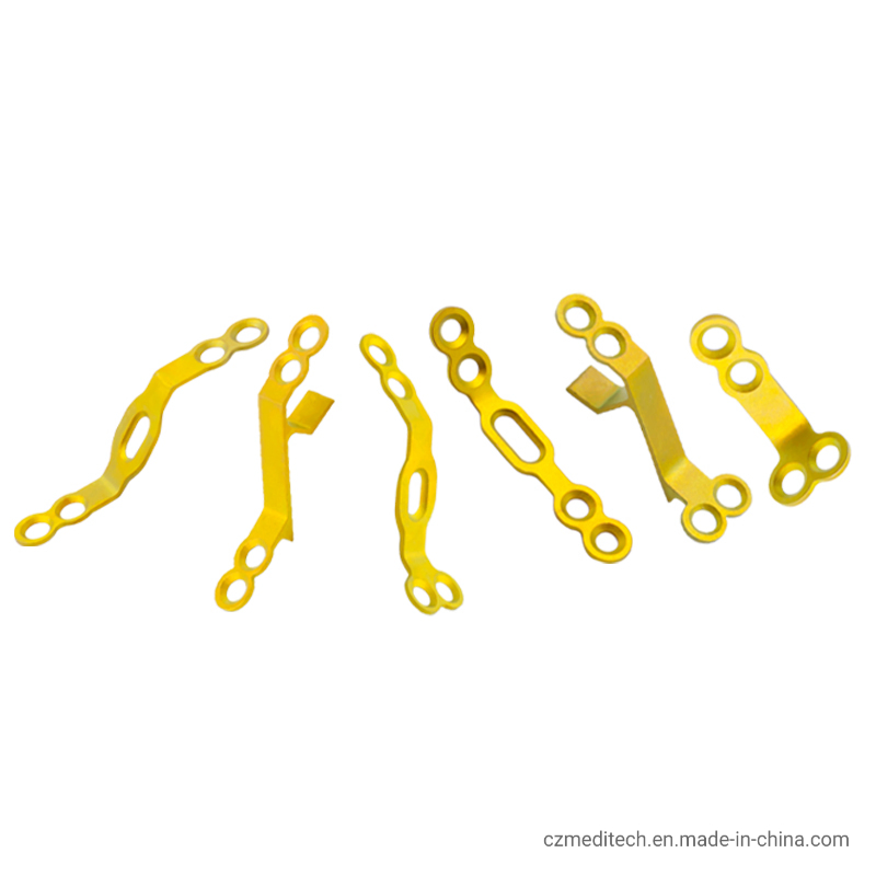 Titanium Plate Implant Orthopedic Implant Protesis Spinal Implants Spine Medical Orthopedic Implant Cervical Laminar Plate