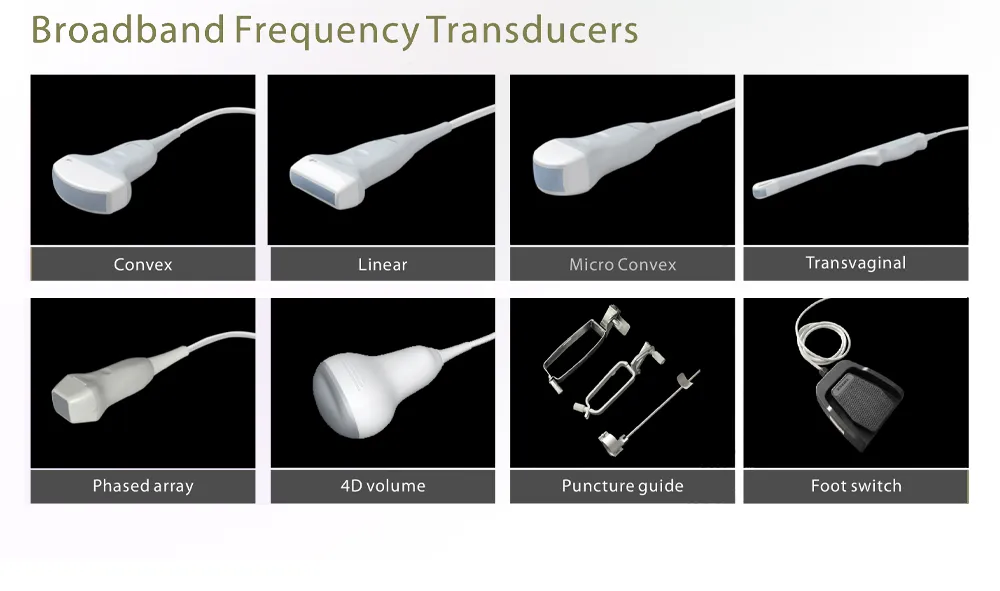 Ultrasound Interface