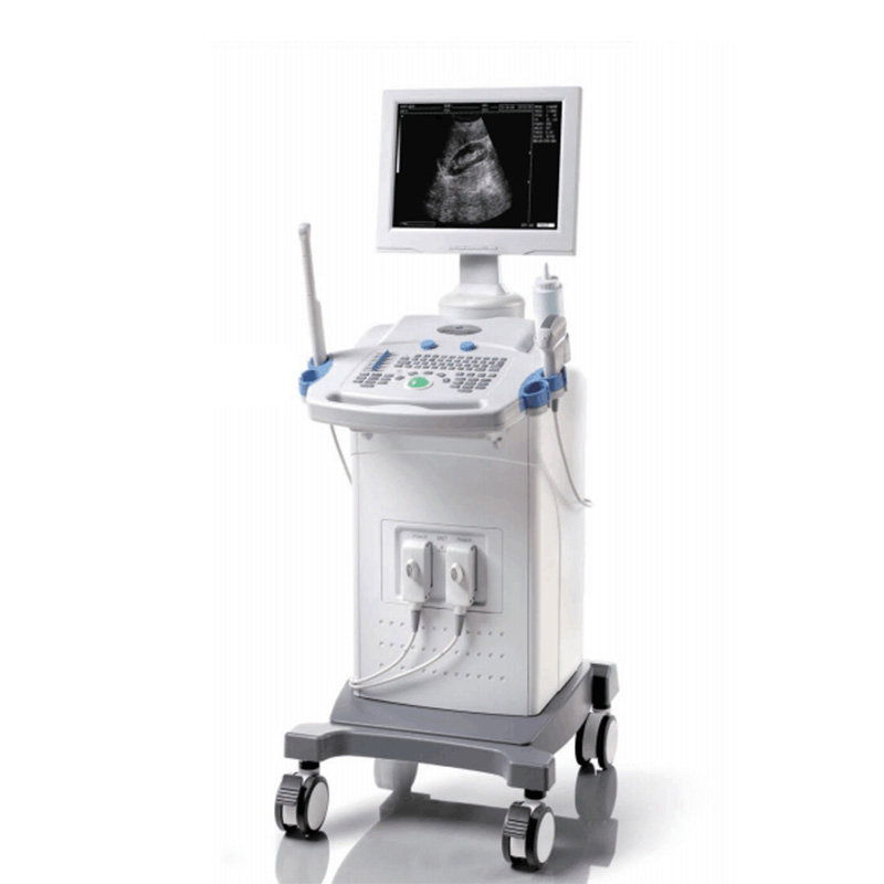 3D 4d Color Doppler B Ultrasound Diagnosis System