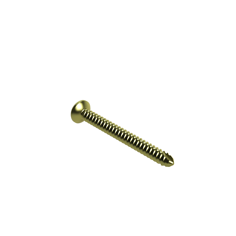 Multi-Screw Hole Tibial Intramedullary Nail