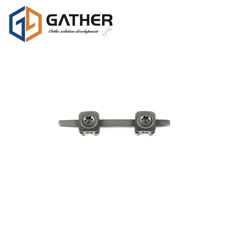 Spinal Pedicle Screw