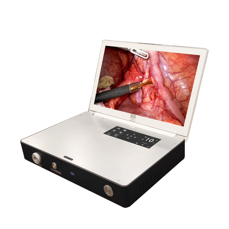 Portable HD Endoscope Camera System with 15" Display and LED Light Source