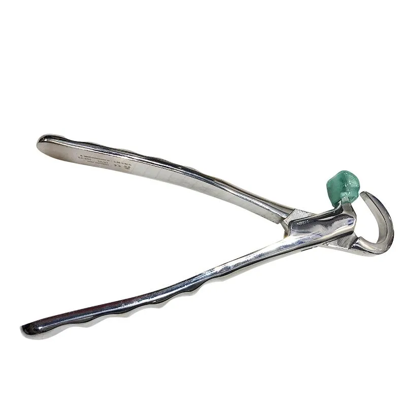 Tooth Extraction Forceps 5