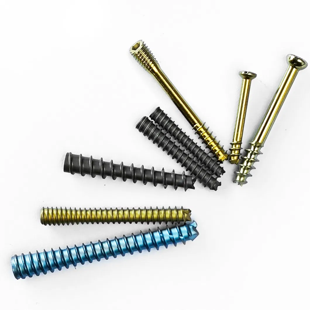 Cannulated Screw Detail 1