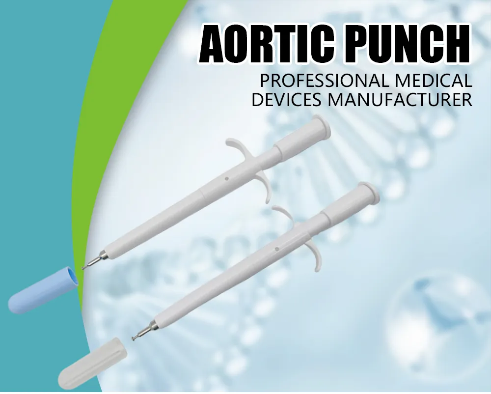 Aortic Punch Overview