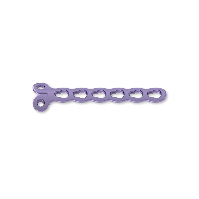 Orthopedic Multi Axial Titanium Implant for Radius