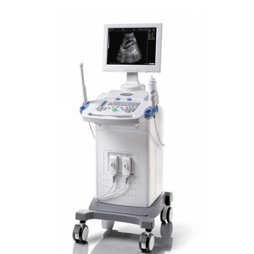 3D 4d Color Doppler B Ultrasound Diagnosis System