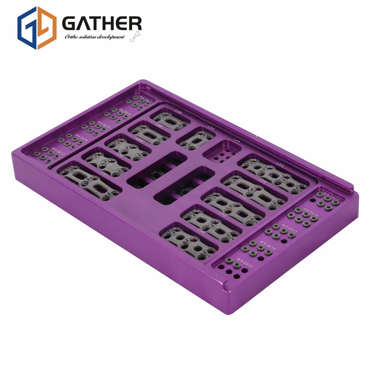 Spinal Implant Fixation Internal Anterior Pedicle Plate