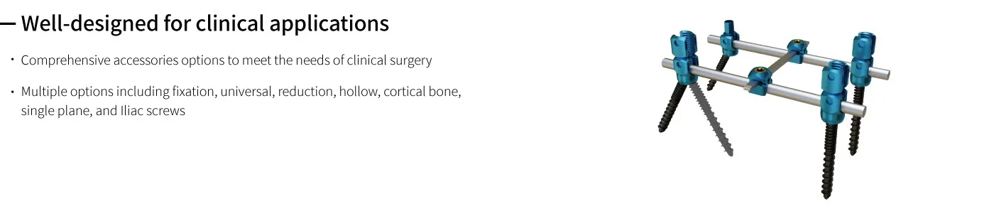 Spinal System Detail 1