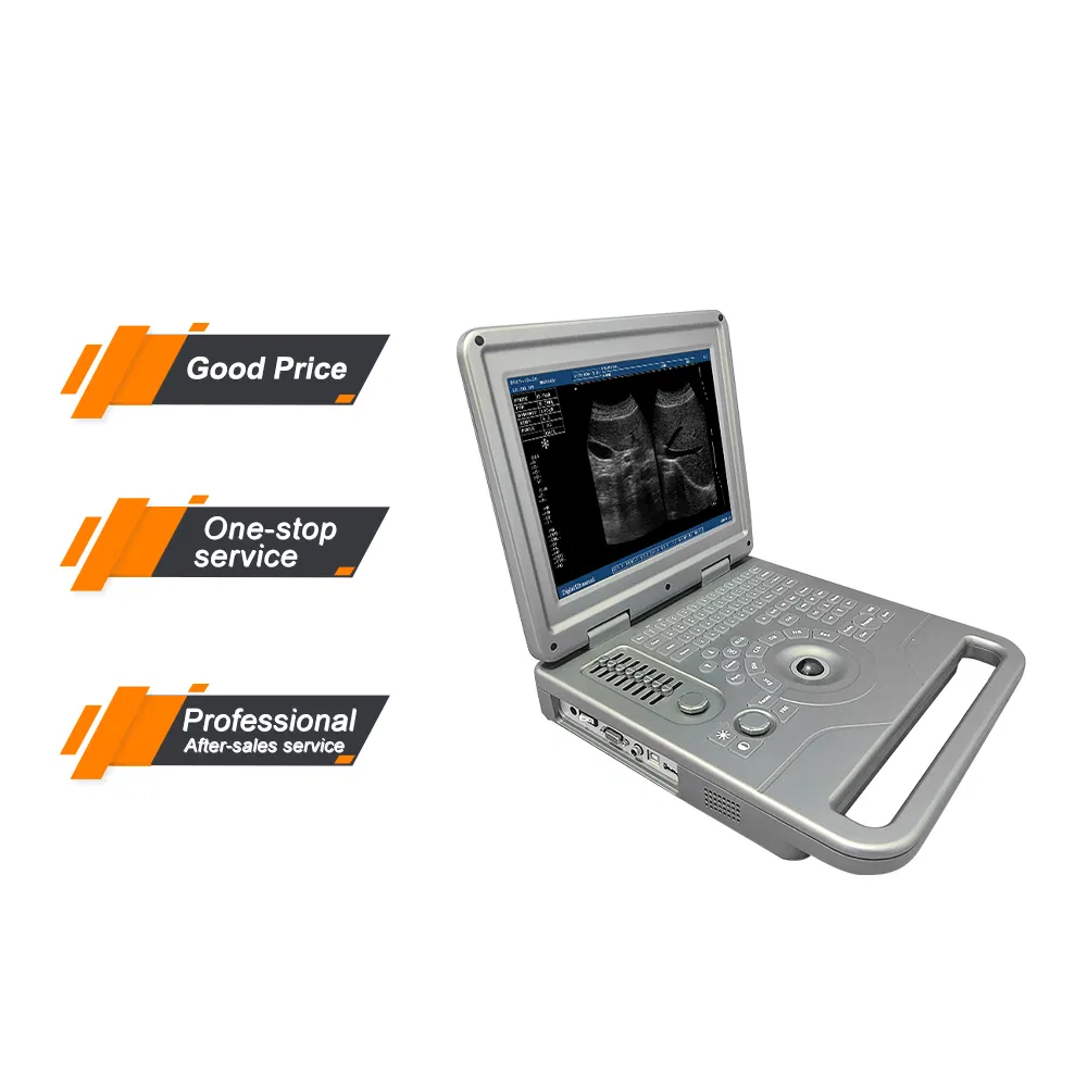 Vet Ultrasound Machine Linear Probe Full Digital Veterinary Ultrasound System