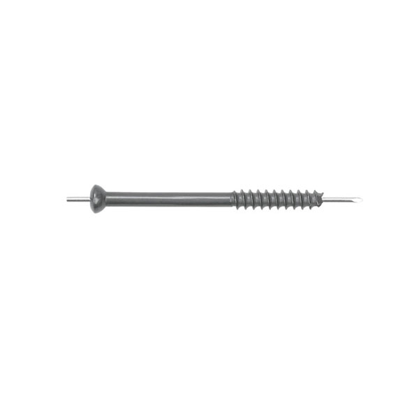 Orthopedic Implants Metal Bone Screw Locking Screw