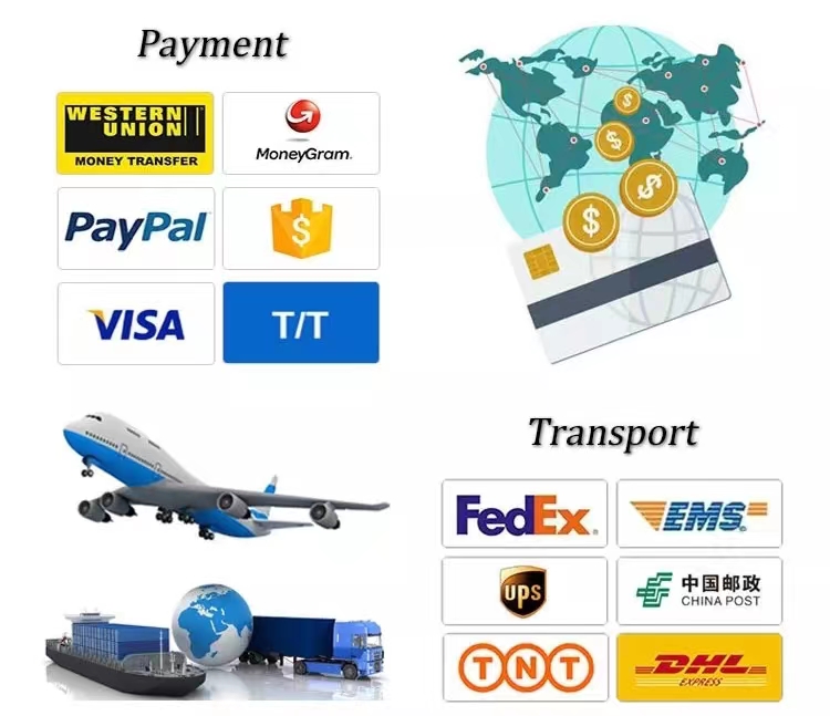 Shipping Logistics