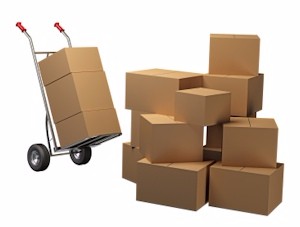 Packaging Box Option