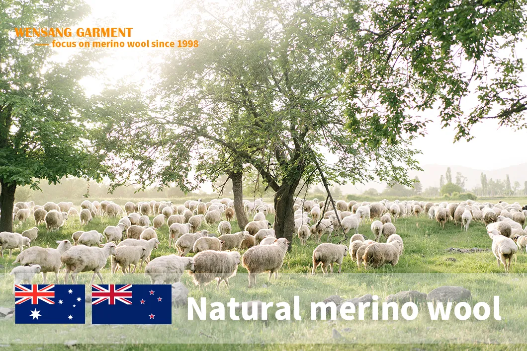 Merino Wool Base Layer 400GSM