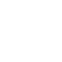 Global Vision icon