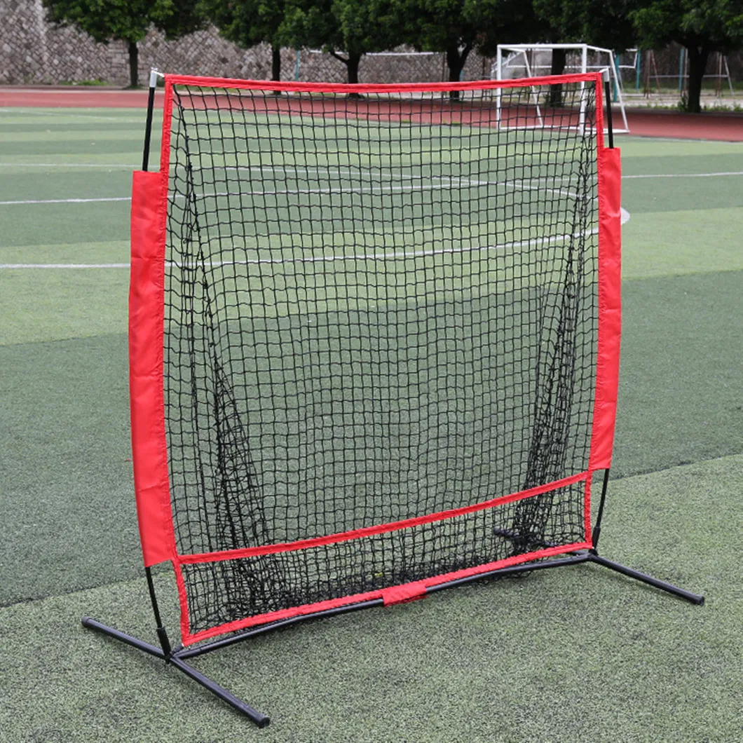 Baseball Net View 2