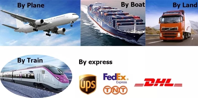 Shipping Information