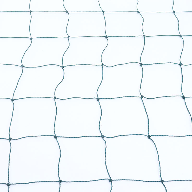 Football Net 2