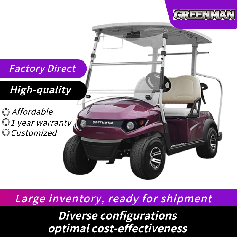 Non-Lifted Reception Car/Electric Golf Car/2 Seat Club Golf Buggy