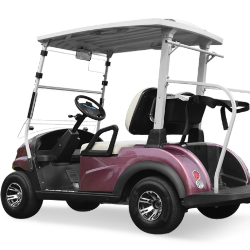Non-Lifted Reception Car/Electric Golf Car/2 Seat Club Golf Buggy
