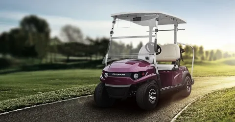 GVF2 Electric Golf Car