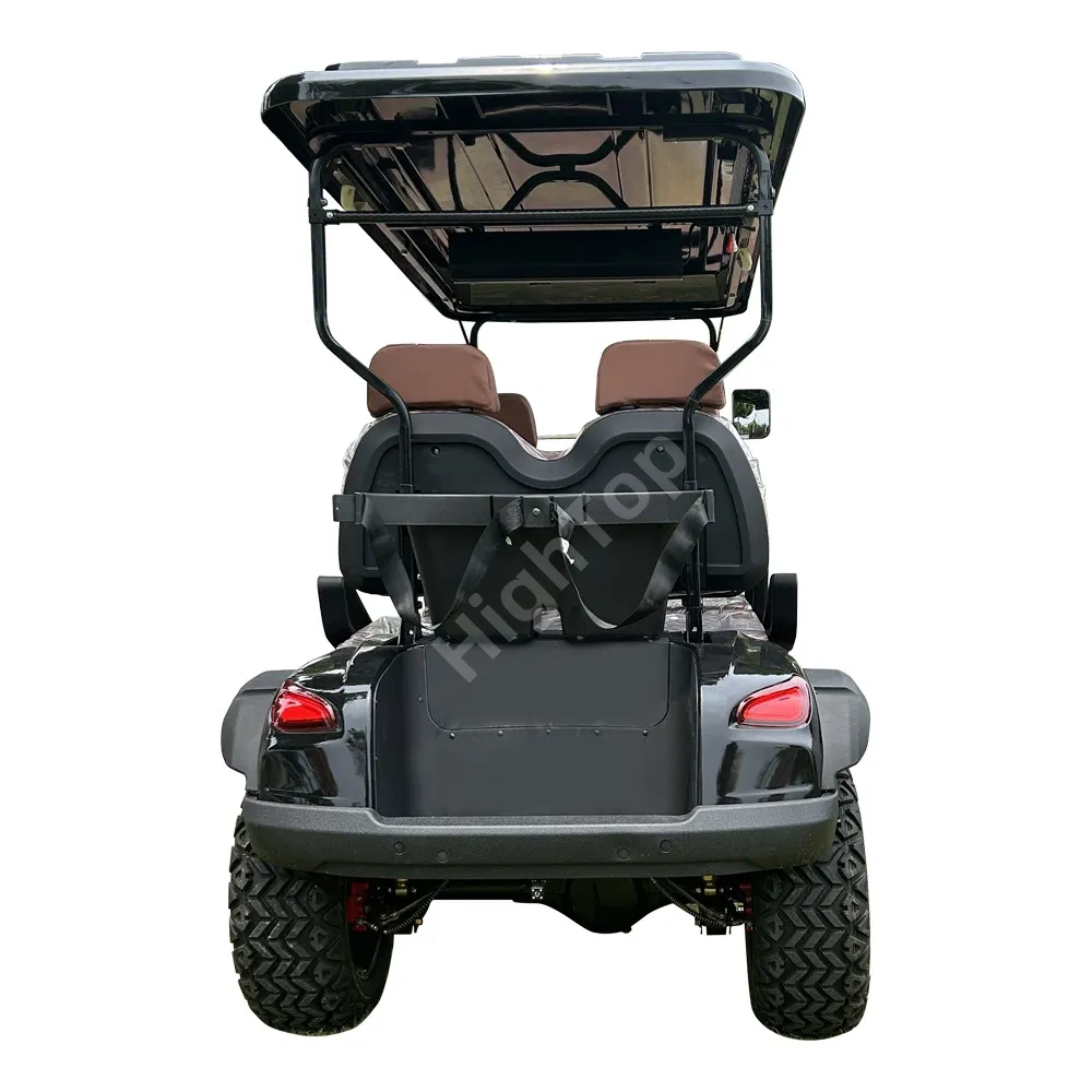 High Quality Electric Vehicle 2/4/6 Seater Buggy Lithium Battery 60V 72V Club Car Mobility Scooter Electric Golf Cart