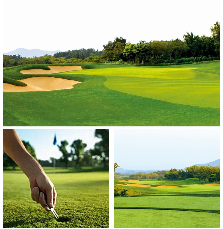 Golf Equipment
