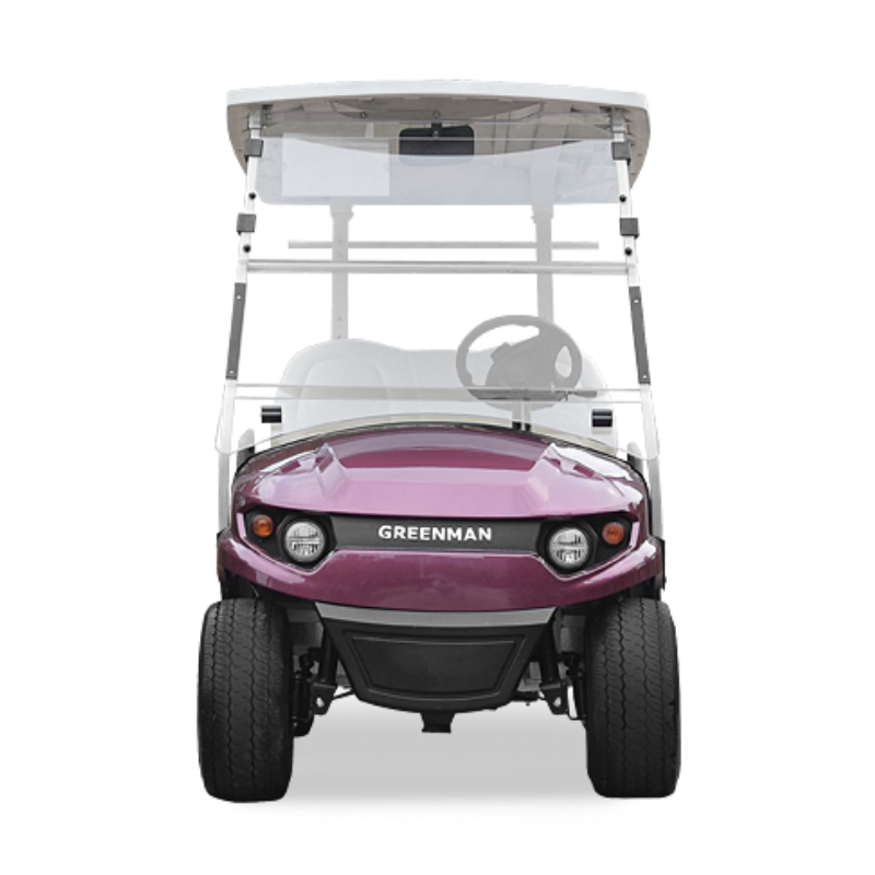 Non-Lifted Reception Car/Electric Golf Car/2 Seat Club Golf Buggy
