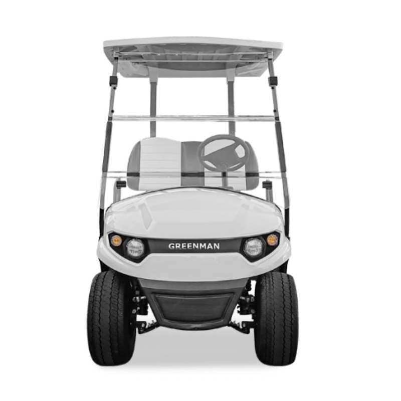 Non-Lifted Reception Car/Electric Golf Car/2 Seat Club Golf Buggy