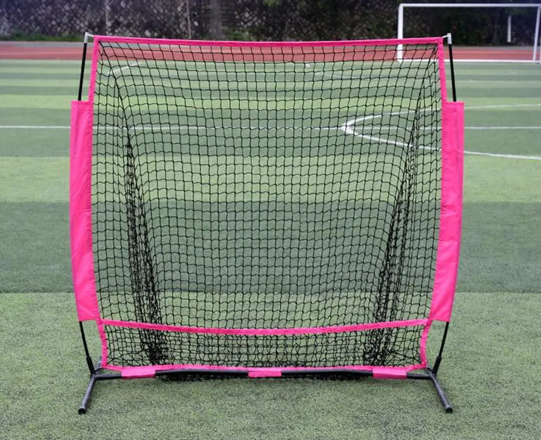 Baseball Net View 7
