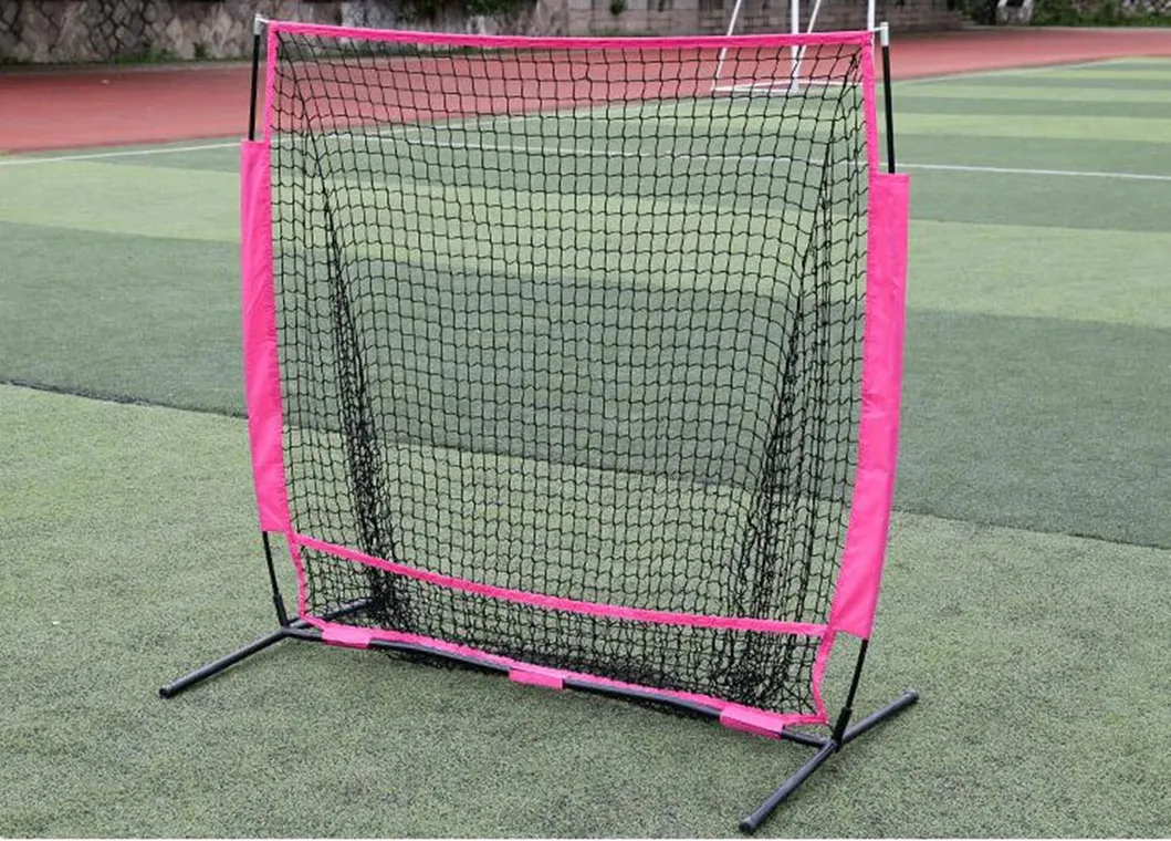 Baseball Net View 8