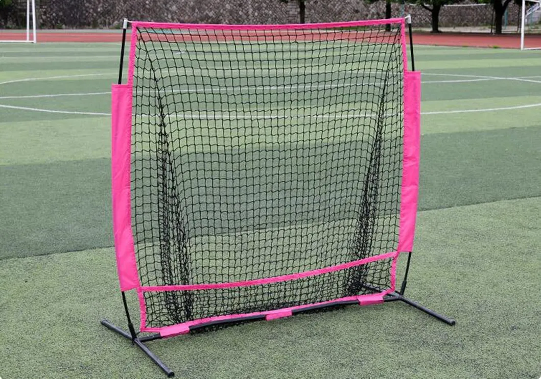 Baseball Net View 9