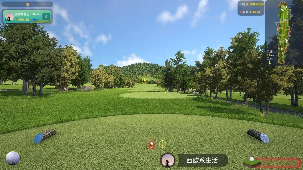 Golf Simulator 6