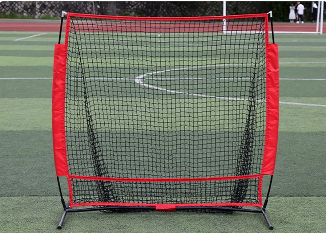 Baseball Net View 1