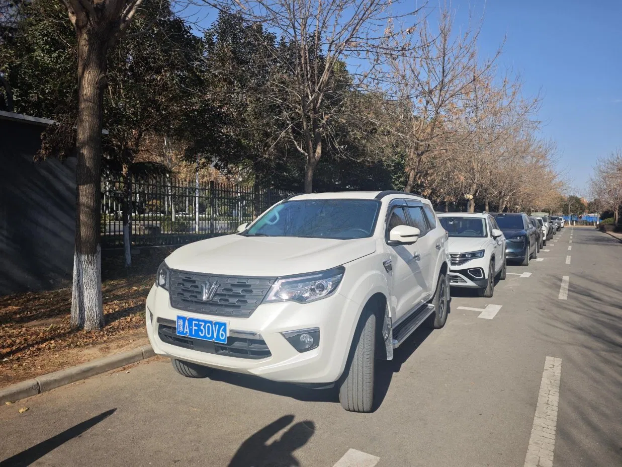 Cheap Price Auto Dongfeng Customized China Golf Clubs Set Ute Canopy Replacement Parts with GS