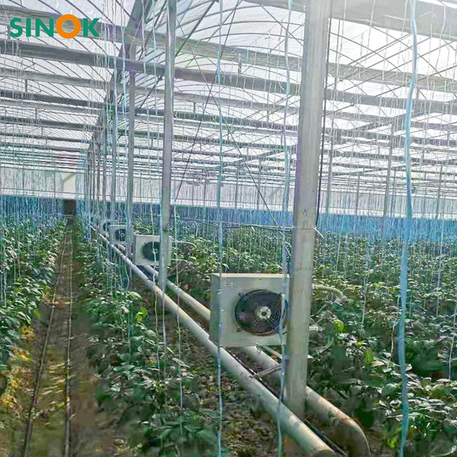 Multi-Span Agricultural/Commercial /Po/PE Film/Plastic Greenhouse Green House for Tomatoes/Cucumber/Peppers/Strawberry with Hydroponic System/Drip Irrigation