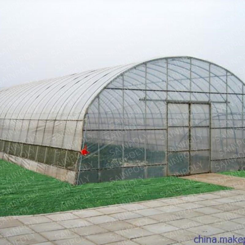 Mini Single Span Hydroponic Agricultural Tomato Film Tunnel Greenhouse Efficient Growth