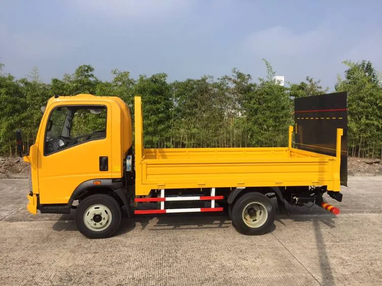 Light Cargo Truck View 2