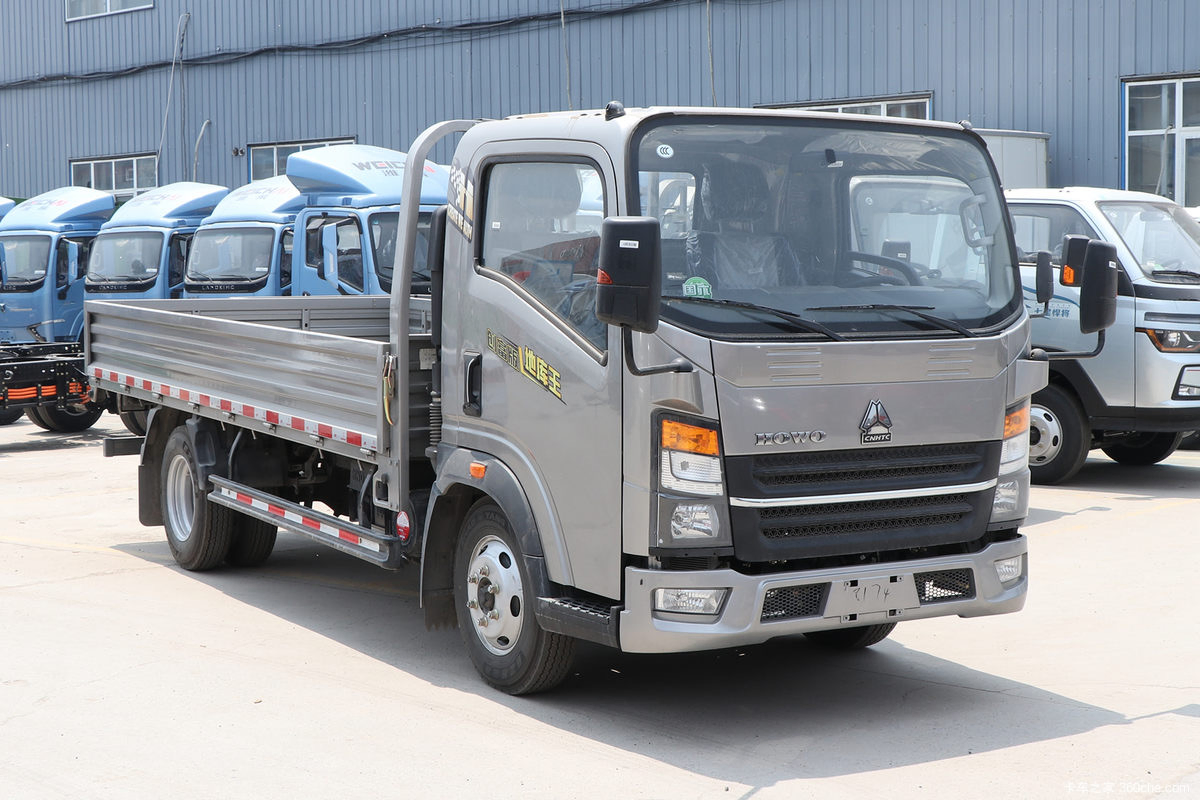 Brand New HOWO 4X2 Cargo Truck Light Truck