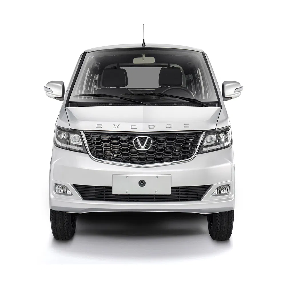 Light Mini Wholesale Truck Cheap Transport Delivery Commercial Lorry Pickup