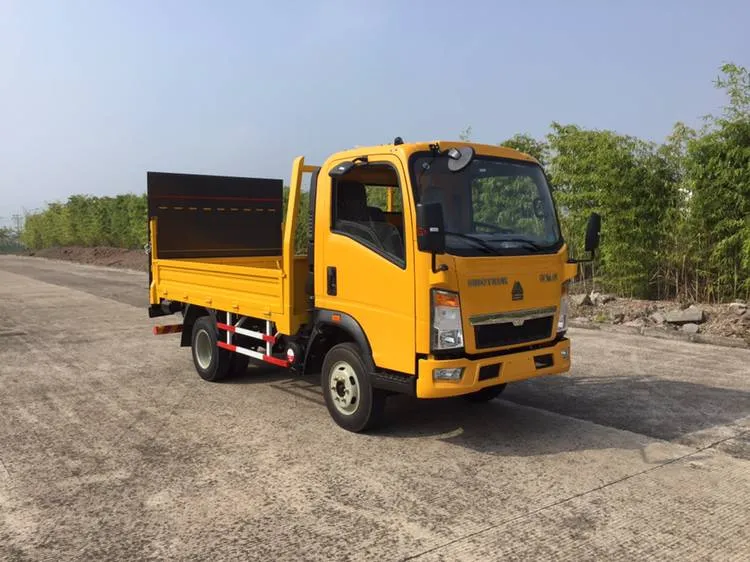 Light Cargo Truck View 1