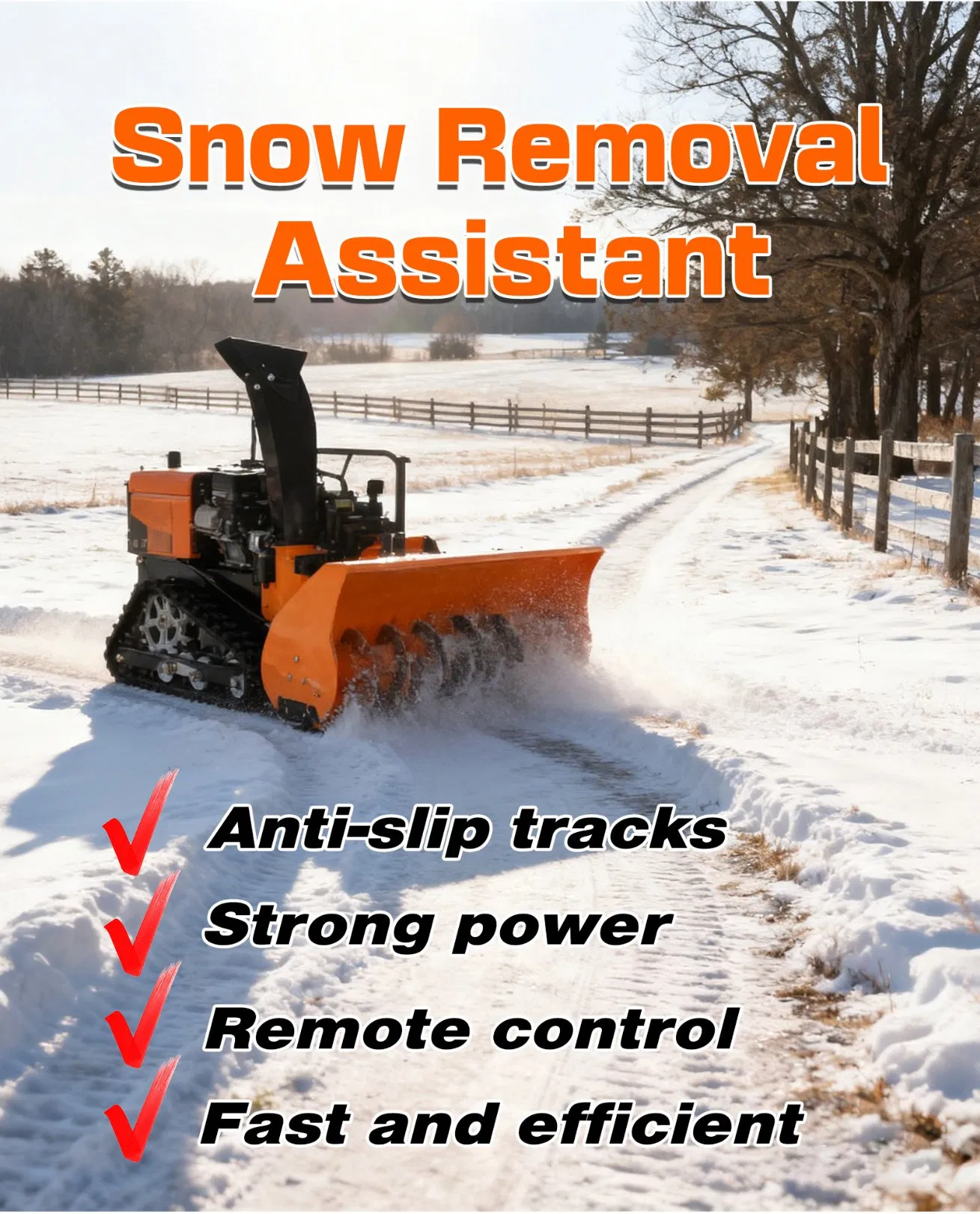 Snow Blower Detail 1