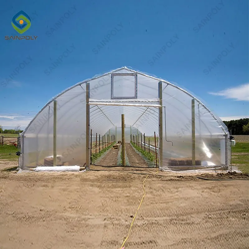 Tunnel Greenhouse