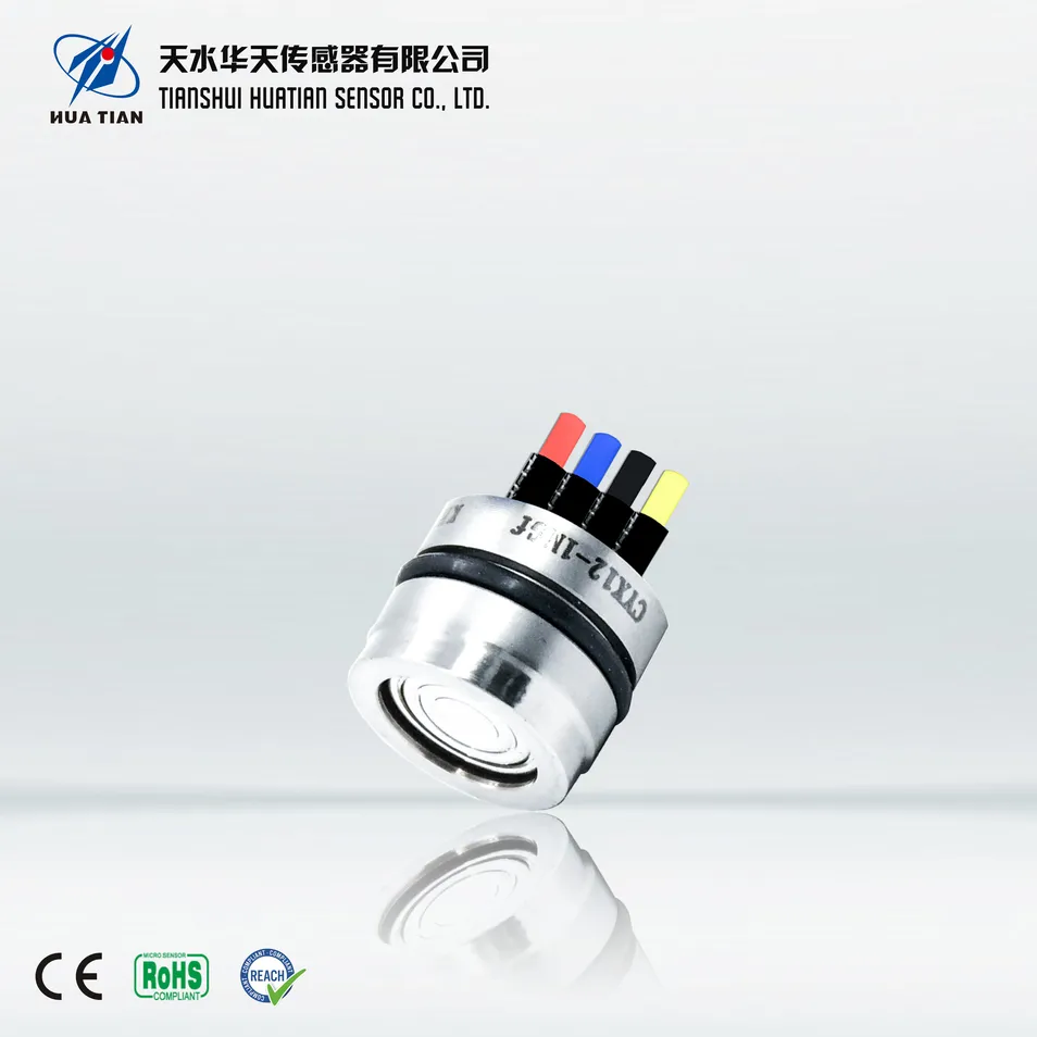 Silicon Piezoresistive Sensor View 1